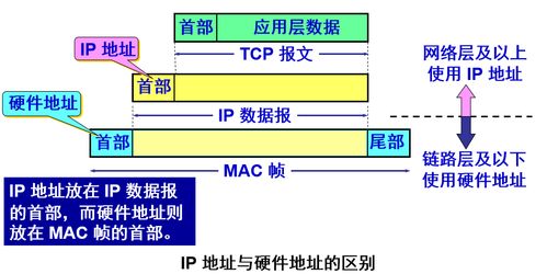 電子產品技術開發中的計算機網絡 創新引擎與未來趨勢